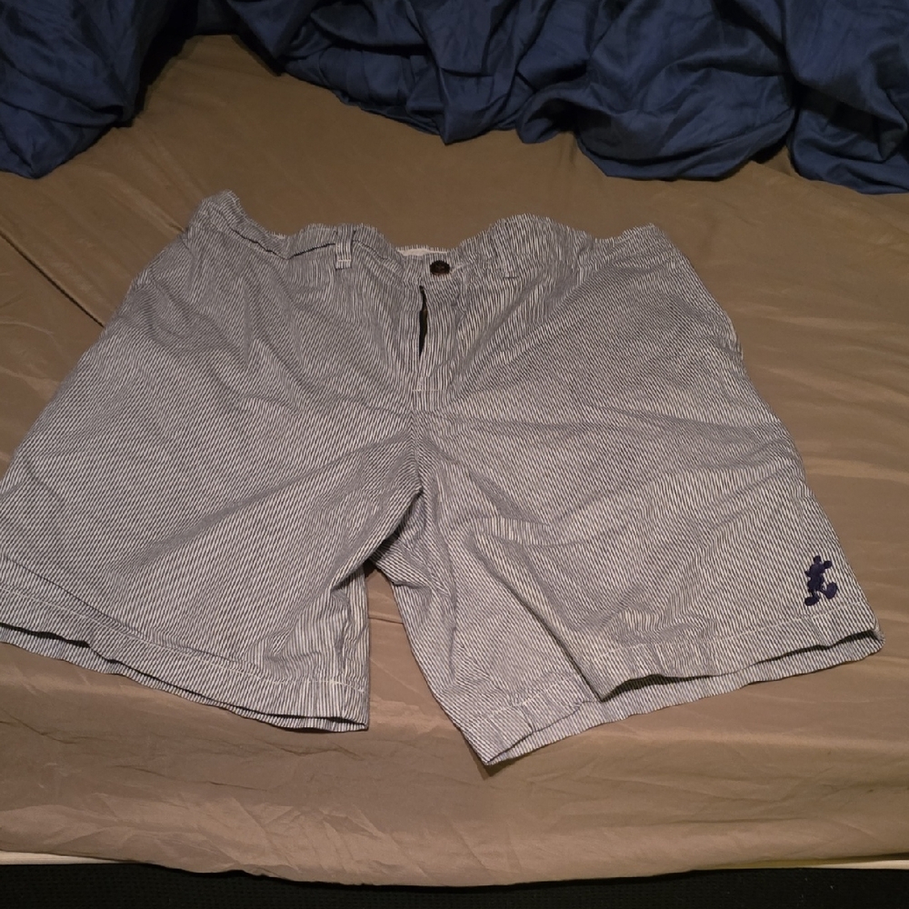 Disney Parks Striped Gray Shorts with Embroidered Logo